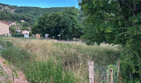 Le terrain avant le projet : prairie en pente, arbres et collines du Beaujolais